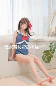 適配吉利帝豪繽越SX11后尾燈剎車(chē)照明燈后組合燈左右倒車(chē)燈殼總成 適配吉利帝豪繽越SX11后尾燈剎車(chē)照明燈后組合燈左右倒車(chē)燈殼總成